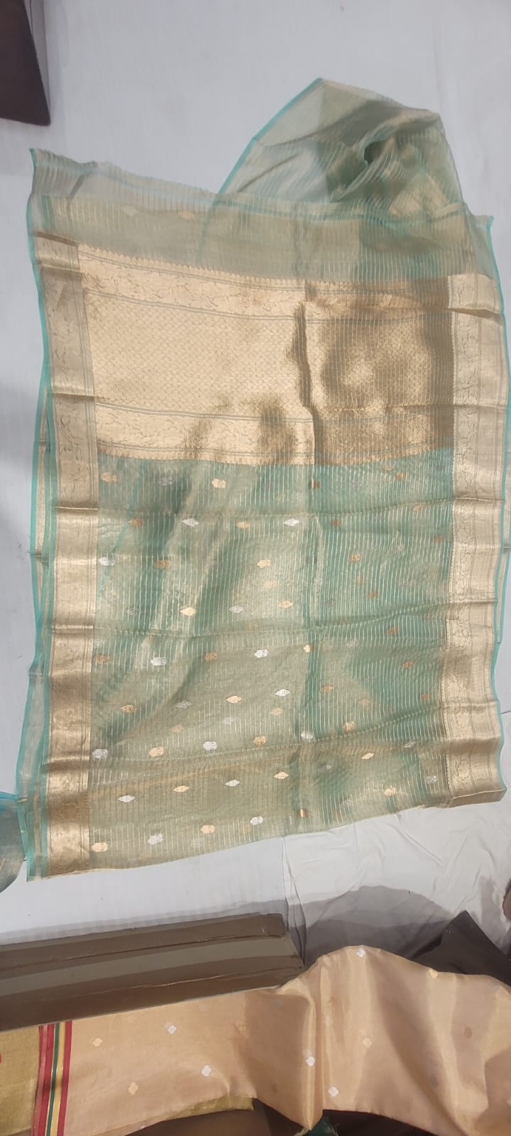 Pure Tissue Saree - Look 3 - Detail View 2 | Shri Geeta Sarees