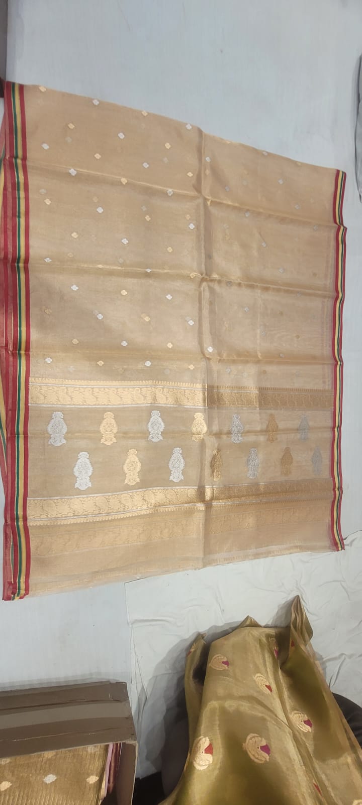 Pure Tissue Saree - Look 4 - Detail View 2 | Shri Geeta Sarees