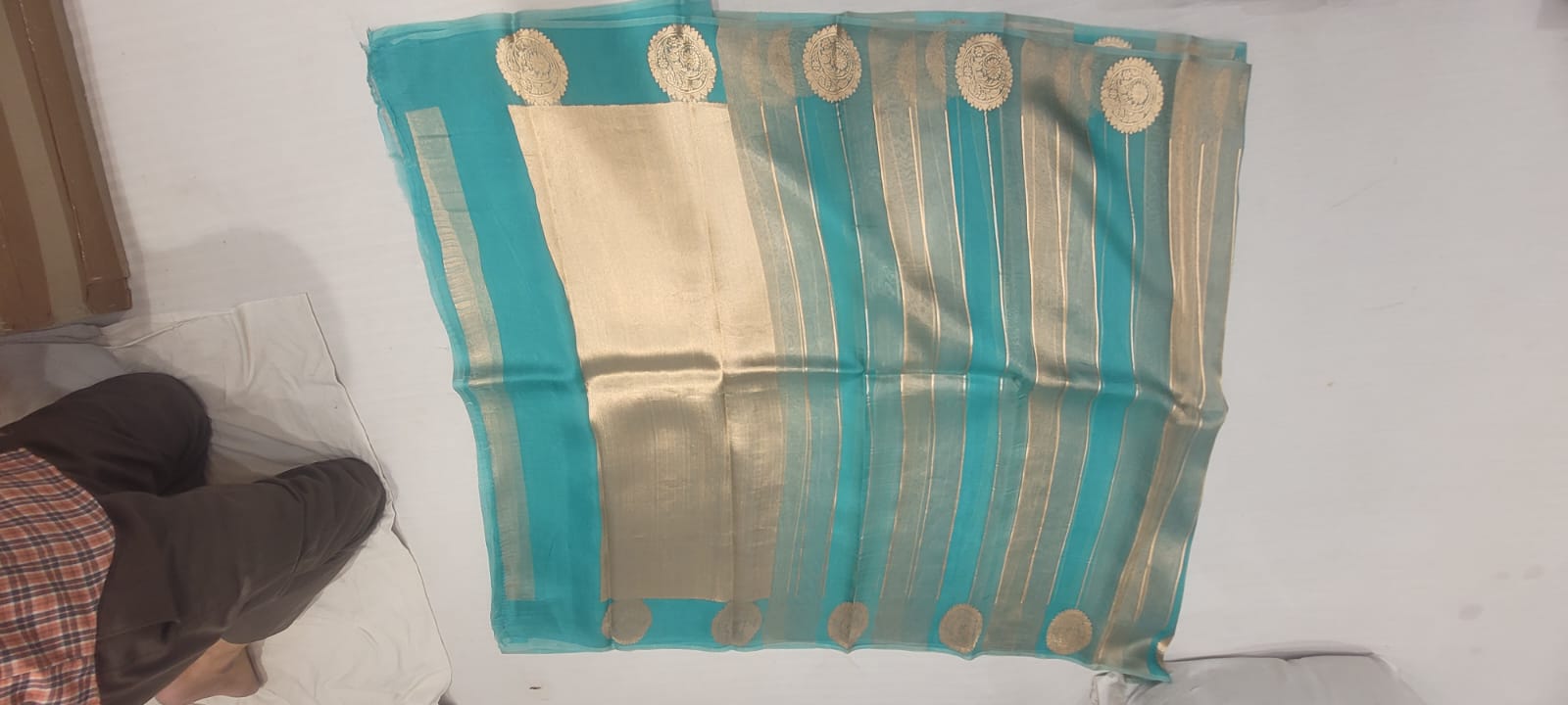 Pure Tissue Saree - Look 5 - Detail View 2 | Shri Geeta Sarees