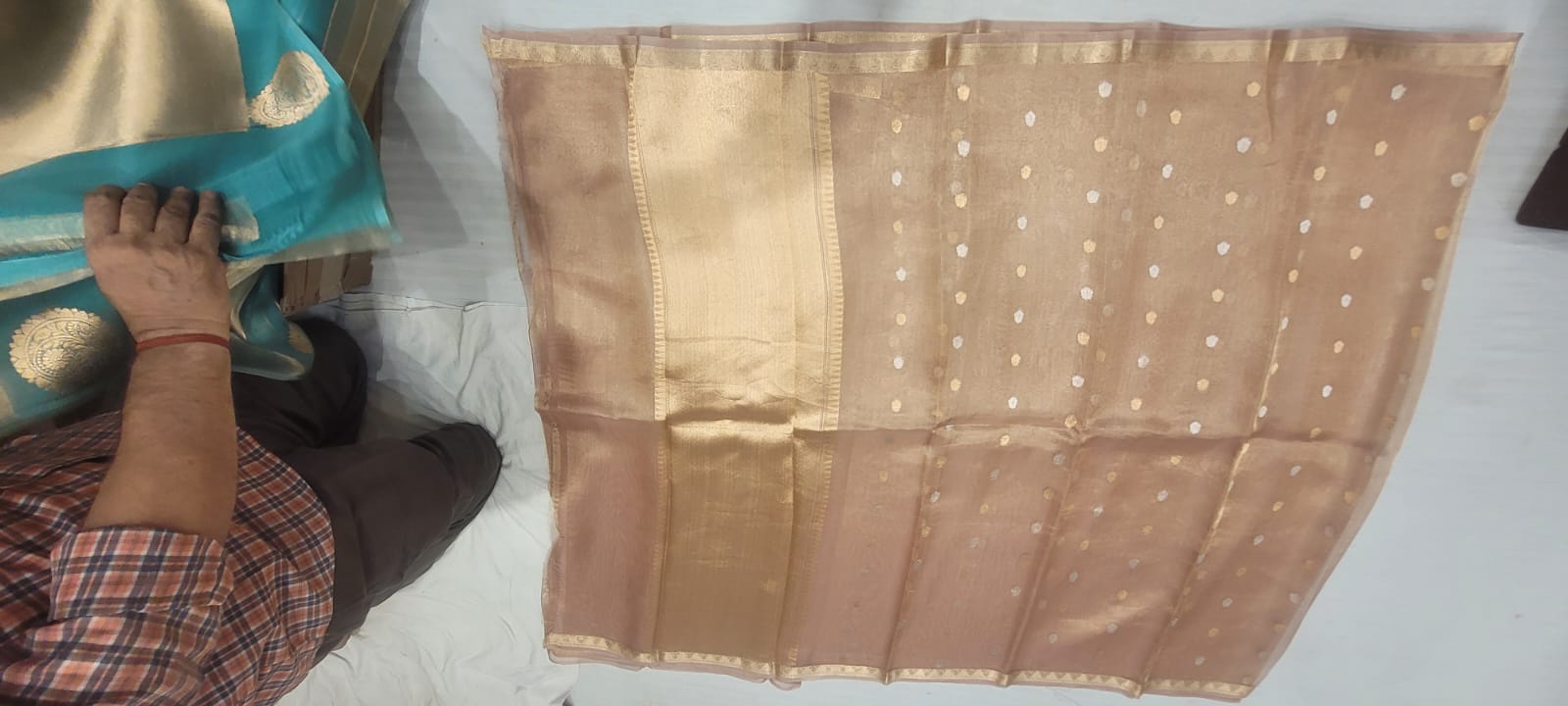 Pure Tissue Saree - Look 6 - Detail View 2 | Shri Geeta Sarees