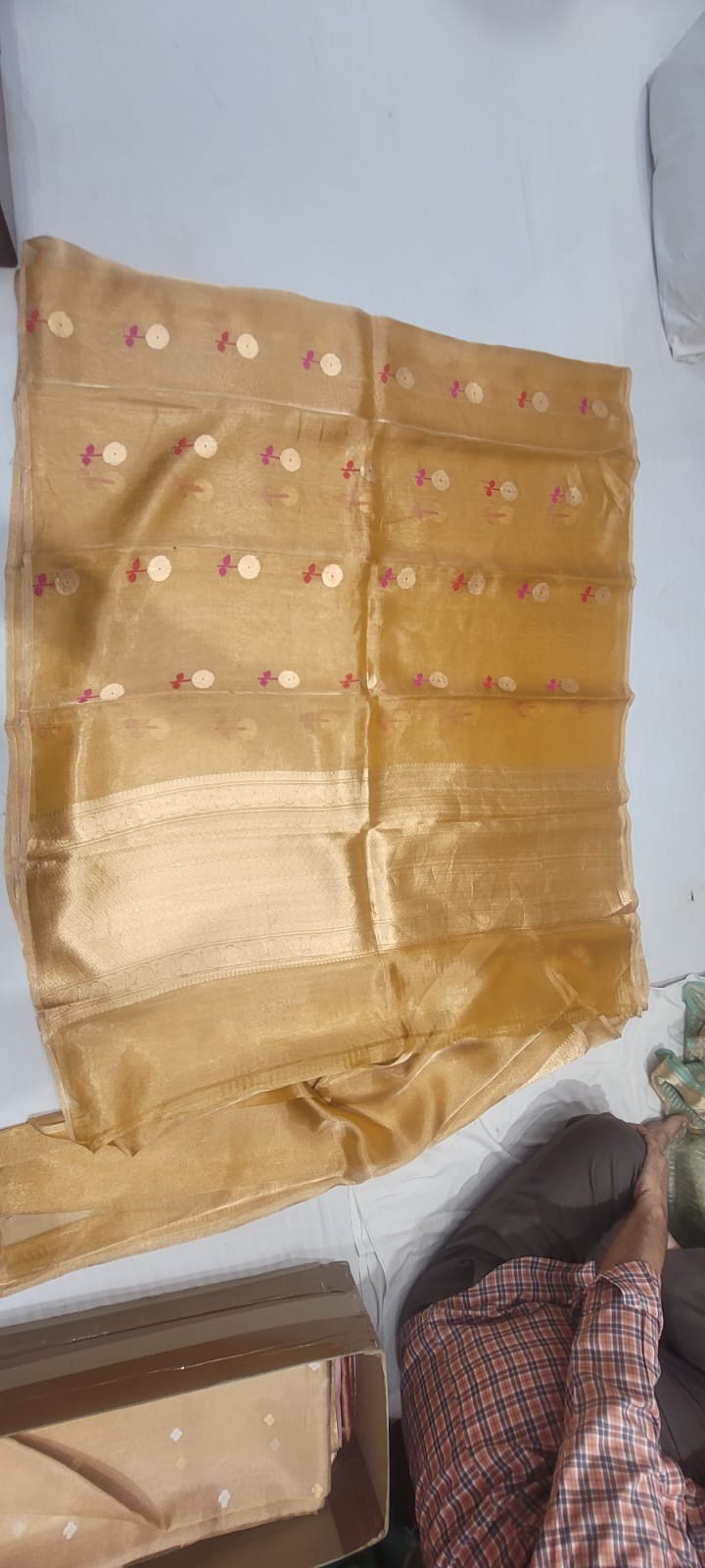 Pure Tissue Saree - Look 7 - Detail View 2 | Shri Geeta Sarees